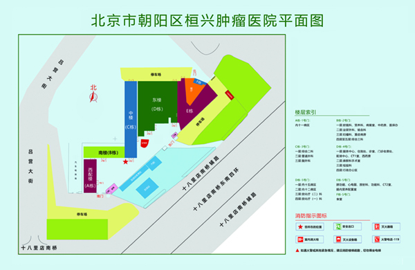 看操大黑逼视频北京市朝阳区桓兴肿瘤医院平面图